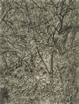 Jardin en hiver