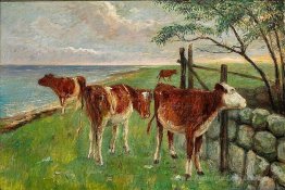 Bovins près d'une porte, Saltholm