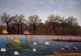 Les flamants