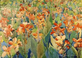 Lit de fleurs (également connu sous le nom de cannas ou le jardi