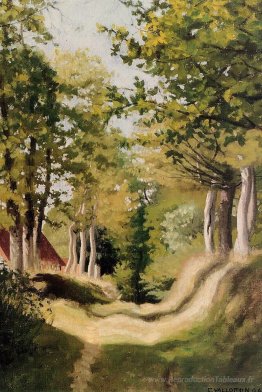 Broussailles