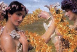 Quand les fleurs reviennent