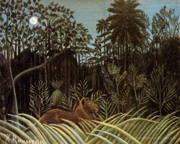 Jungle avec lion