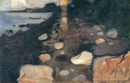 Clair de lune sur le rivage