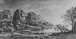 Roche