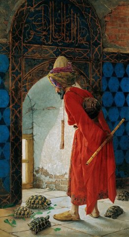 L'entraîneur de la tortue