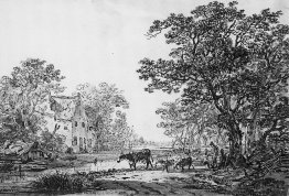 Paysage forestier