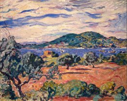 Baie de théorie