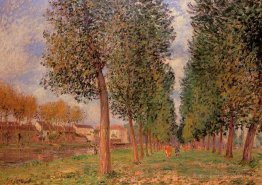 L'avenue Poplar à Moret, jour nuageux, matin