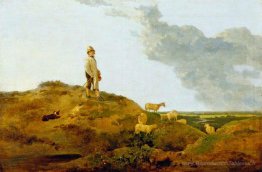 Vue sur Mousehold Heath, près de Norwich