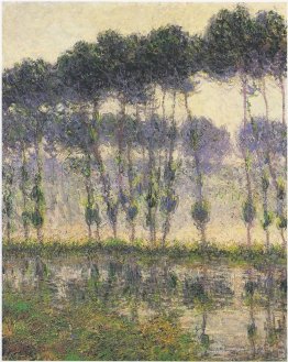 Des peupliers par la rivière Eau