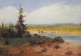 Paysage d'été