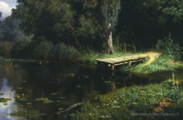 Étang