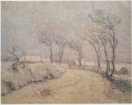 Paysage dans la neige
