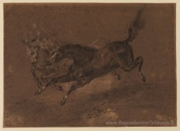 Horses courir