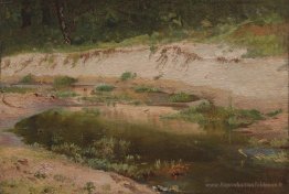 Courant de forêt