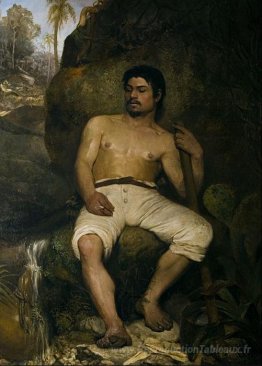 Le bûcher brésilien