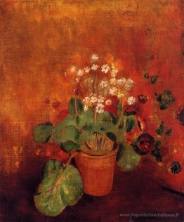Fleurs dans un pot sur fond rouge
