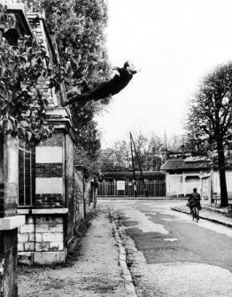 Sauter dans le vide