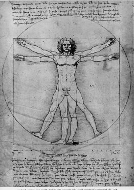 Les proportions de la figure humaine (l'homme vitruvien)