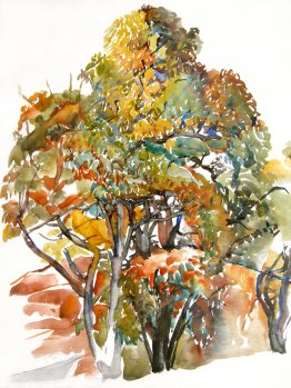 Des châtaignes à l'automne à Antagnes, en Suisse