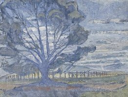 Paysage de Wilunga
