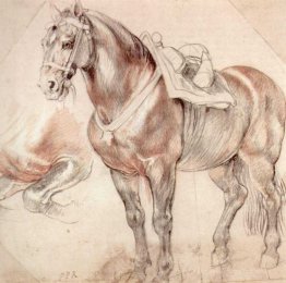 Étude de cheval