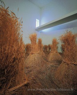Um Campo Depois da Colheita para deleite estitico do nosso corpo