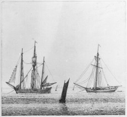 Mer avec des navires