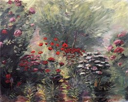 Fleurs. Un coin du jardin.