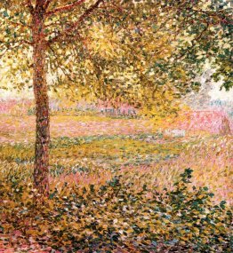 Paysage