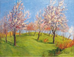 Pommiers fleuris