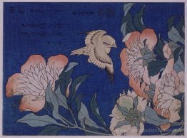 Canari et pivoine