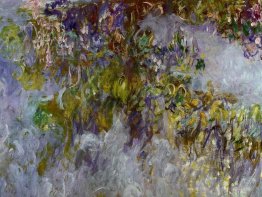 Wisteria (moitié gauche)