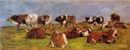 Vaches dans un champ
