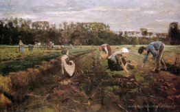 Cueilleurs de pomme de terre