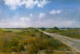 Paysage de shinnecock