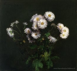 Bouquet de chrysanthèmes blancs