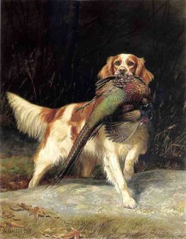 Springer Spaniel avec faisan