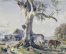 La gomme de ferme