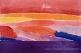Surface de corail