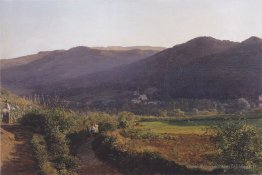 Paysage de montagne avec vignoble
