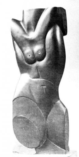 Torse