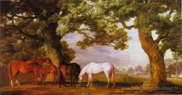 Juments et poulains dans un paysage boisé