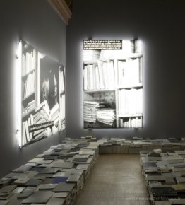 Le phénomène de la bibliothèque