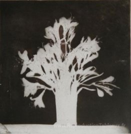 Fleurs à une fenêtre