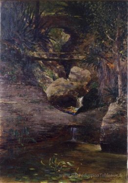 Paysage avec cascade