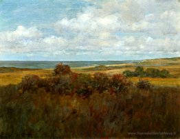 Paysage de shinnecock