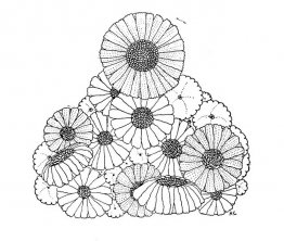 L'année au printemps