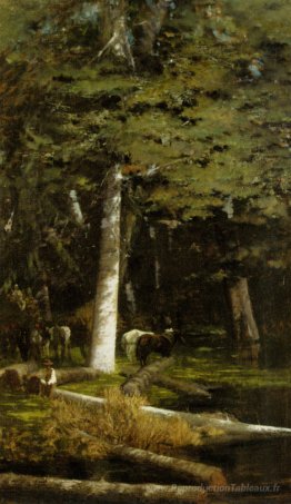 Dans la foret